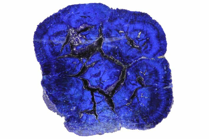 Vivid Blue, Cut/Polished Azurite Nodule - Siberia #94556
